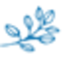 Potion & Twig Coupon Codes